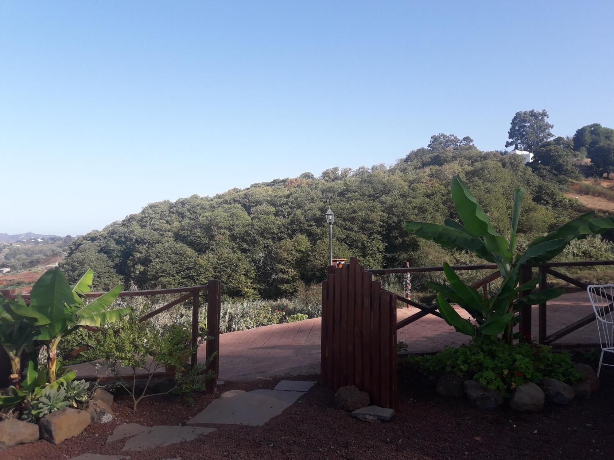 Finca Naturacanaria Moya  ภายนอก รูปภาพ