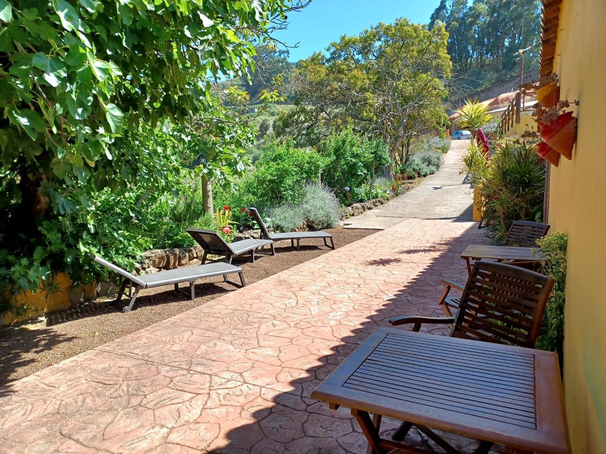 Finca Naturacanaria Moya  ภายนอก รูปภาพ
