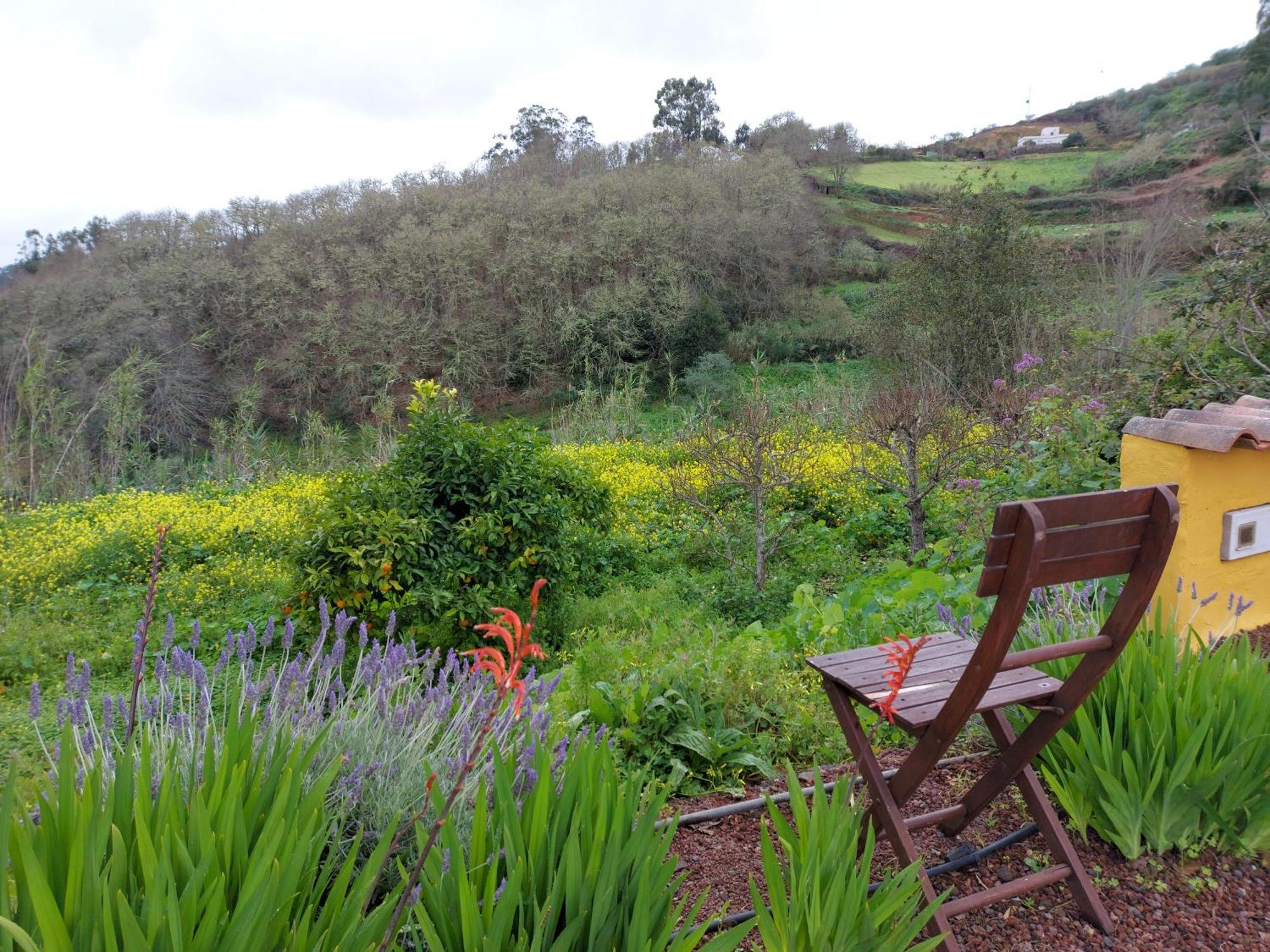Finca Naturacanaria Moya  ภายนอก รูปภาพ