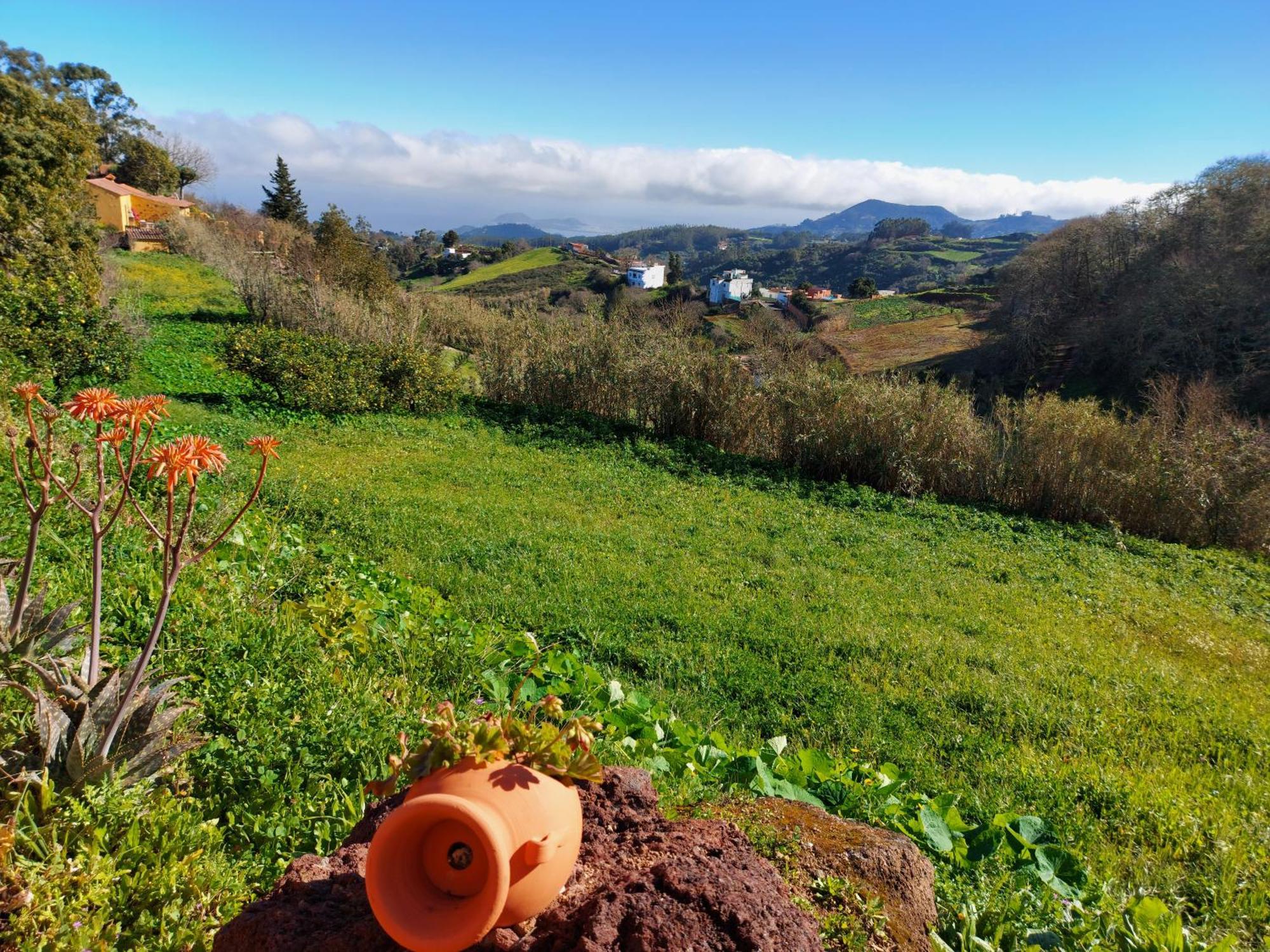 Finca Naturacanaria Moya  ภายนอก รูปภาพ