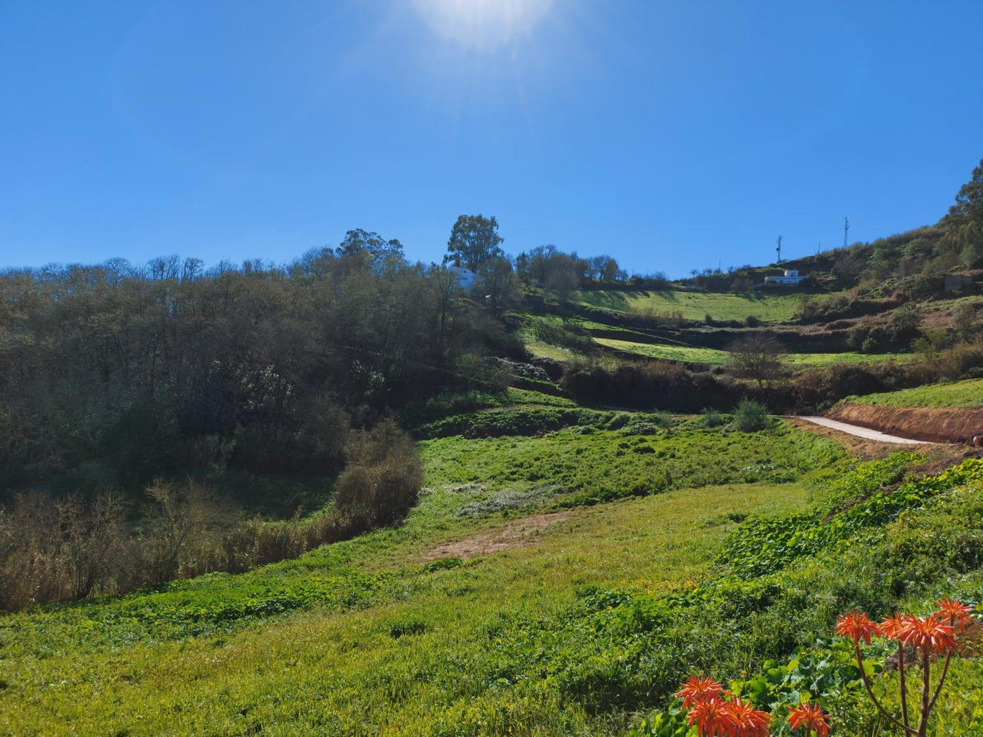 Finca Naturacanaria Moya  ภายนอก รูปภาพ