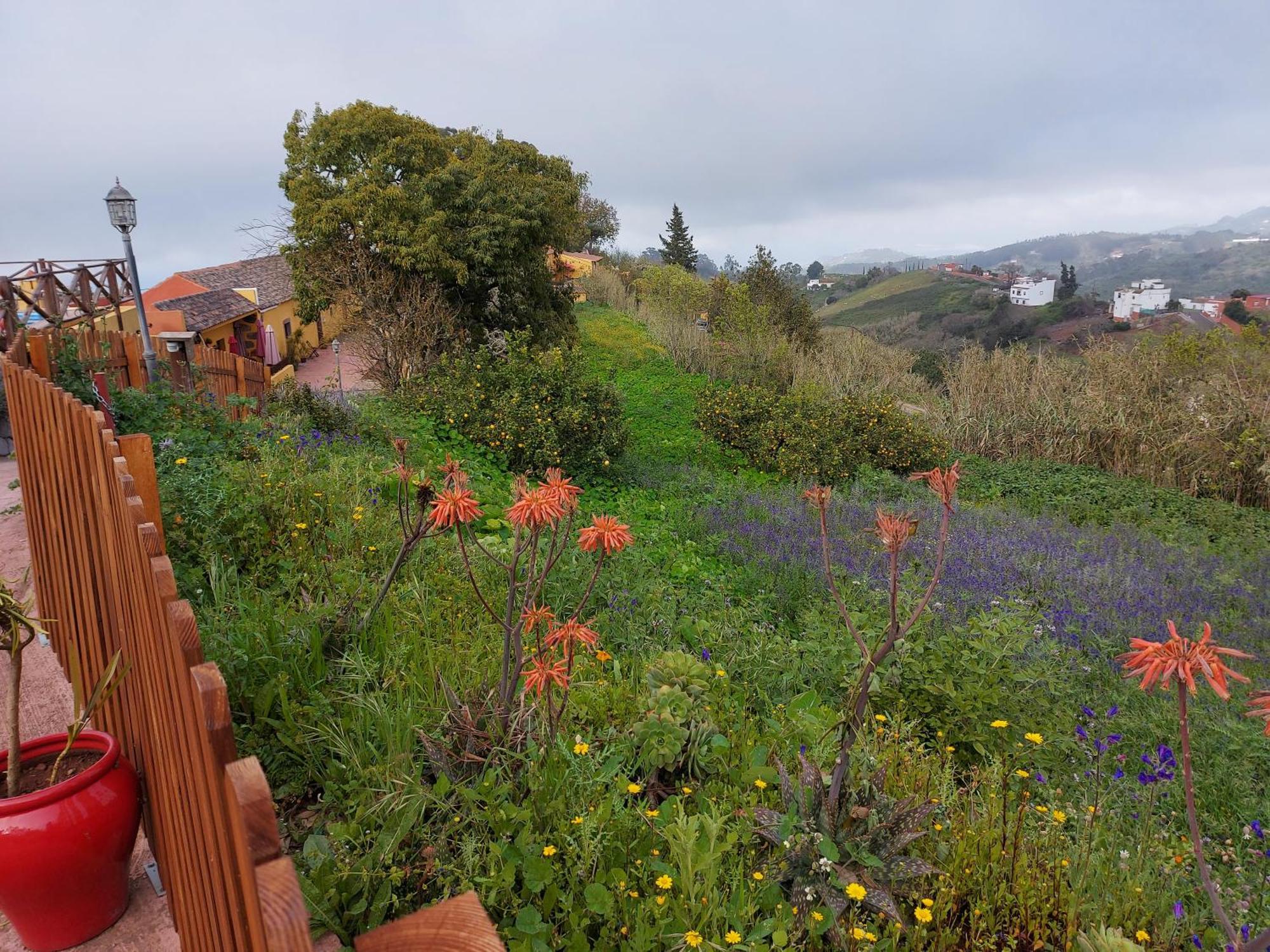Finca Naturacanaria Moya  ภายนอก รูปภาพ