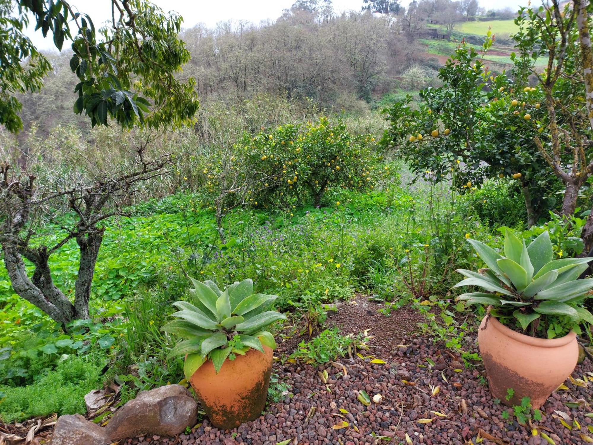 Finca Naturacanaria Moya  ภายนอก รูปภาพ