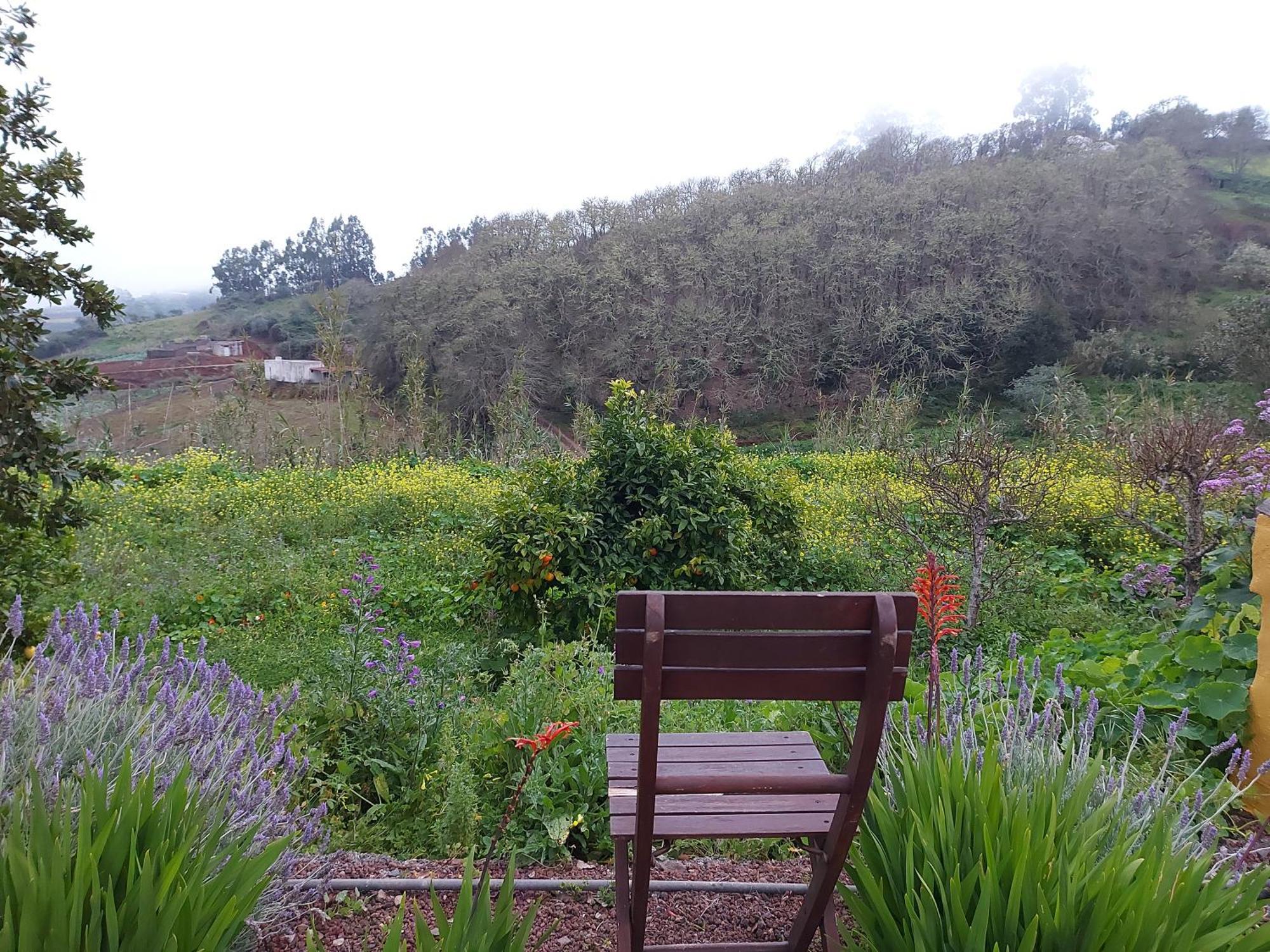 Finca Naturacanaria Moya  ภายนอก รูปภาพ