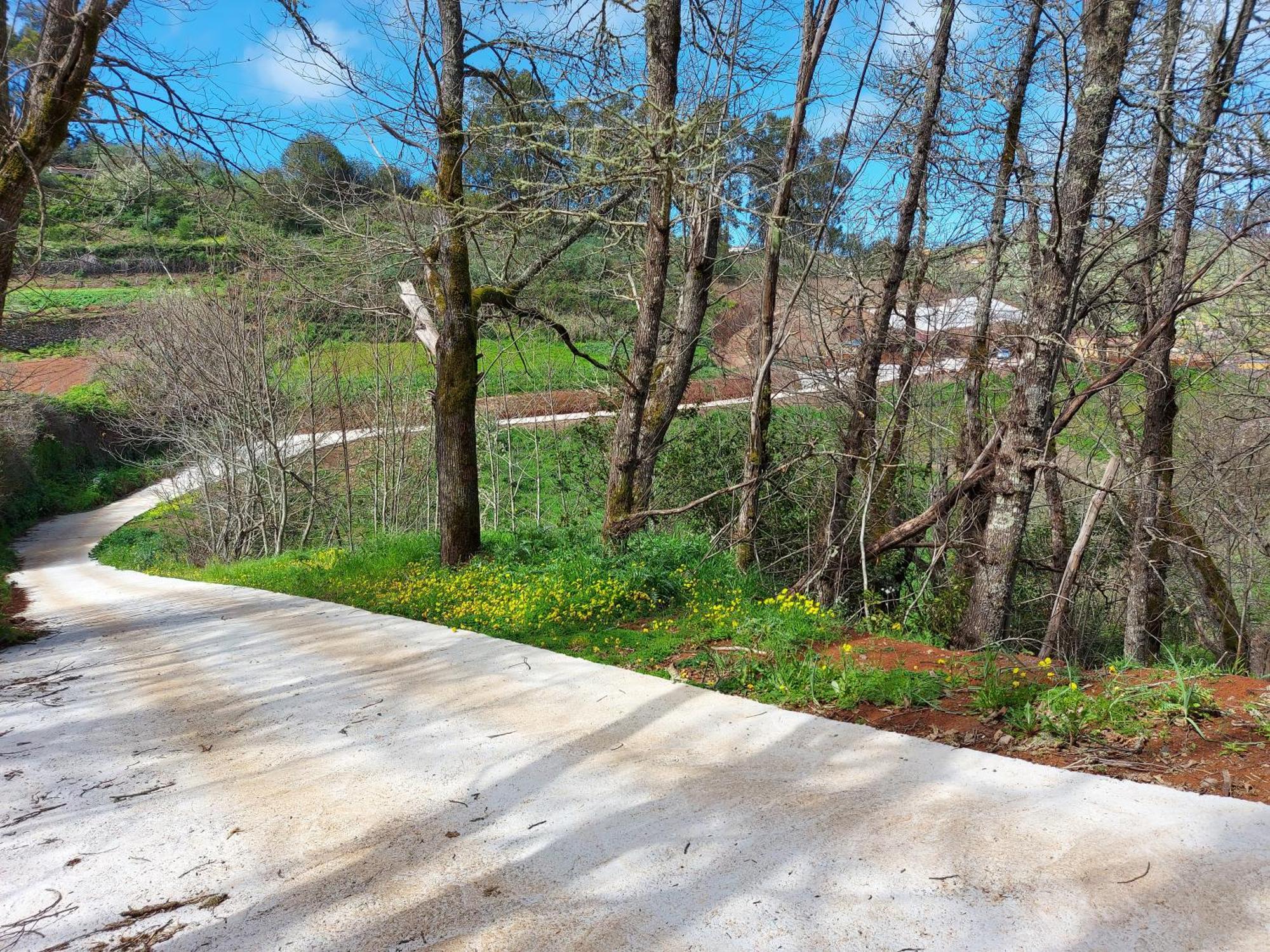 Finca Naturacanaria Moya  ภายนอก รูปภาพ