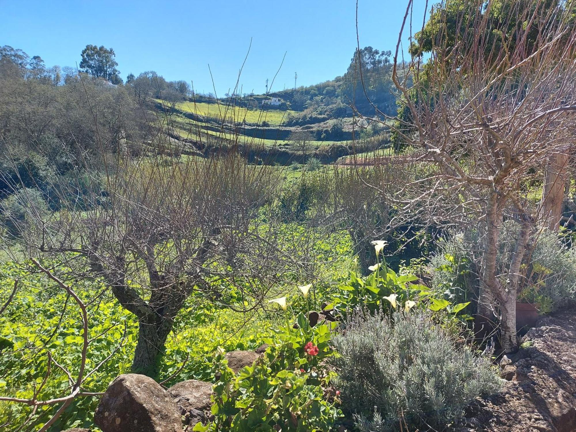 Finca Naturacanaria Moya  ภายนอก รูปภาพ